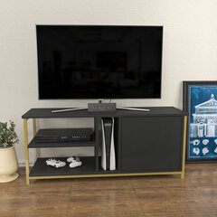 TV stovas Asir, 120x35,3x50,8 cm, auksinis/pilkas kaina ir informacija | TV staliukai | pigu.lt