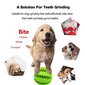Guminis žaislas šuniui, žalias, 5cm kaina ir informacija | Žaislai šunims | pigu.lt