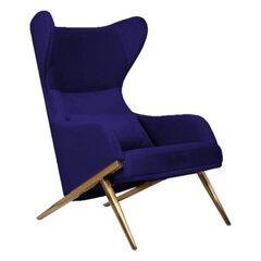 Svetainės fotelis Intromit Hampton, mėlynas kaina ir informacija | Svetainės foteliai | pigu.lt