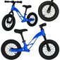 Balansinis dviratis Trike Fix Active x1, 12" kaina ir informacija | Balansiniai dviratukai | pigu.lt