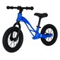 Balansinis dviratis Trike Fix Active x1, 12" kaina ir informacija | Balansiniai dviratukai | pigu.lt