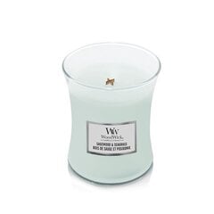 WoodWick Kvapiųjų žvakių vaza "Sagewood" - Jūros žolė 275 g kaina ir informacija | Žvakės, Žvakidės | pigu.lt