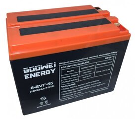 Akumuliatorius Goowei Energy 6-EVF-55 55 ah 450A 12V цена и информация | Аккумуляторы | pigu.lt