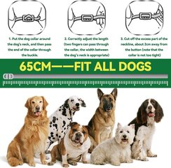 Antkaklis šunims nuo blusų ir erkių Prozadalan M02 kaina ir informacija | Priežiūros priemonės gyvūnams | pigu.lt