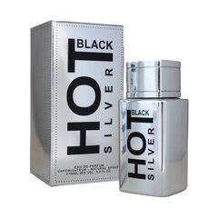 Kvapusis vanduo Bernard Dimitri Hot Black Silver EDP vyrams, 100 ml цена и информация | Мужские духи | pigu.lt