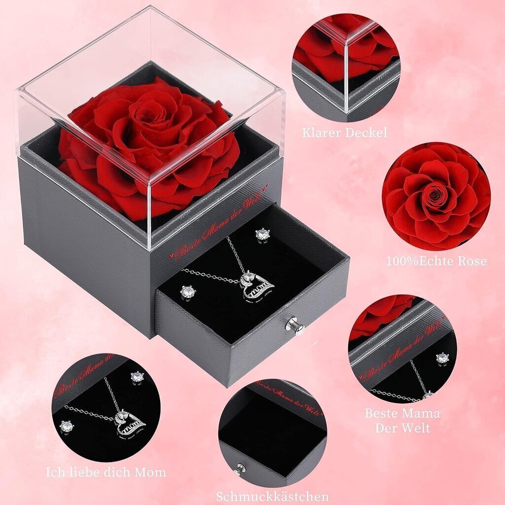 Amžina rožė su Faneeyo papuošalais kaina ir informacija | Kitos originalios dovanos | pigu.lt