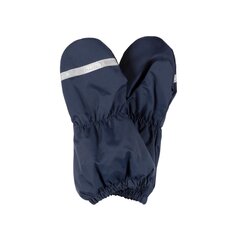 Детские варежки Rain Lenne, тёмно-синий цена и информация | Шапки, перчатки, шарфы для мальчиков | pigu.lt