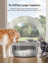 Автоматический фонтан для котов/собак цена и информация | Миски, ящики для корма | pigu.lt