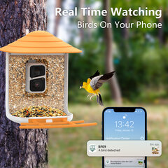 Кормушка для птиц с камерой цена и информация | Скворечники, кормушки, клетки | pigu.lt