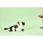 Kačių žaislų rinkinys, 3 vnt. цена и информация | Žaislai katėms | pigu.lt