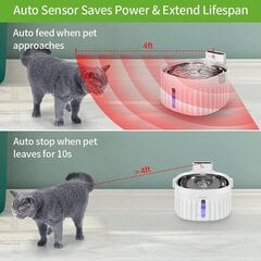 Автоматический фонтан для котов/собак цена и информация | Миски, ящики для корма | pigu.lt