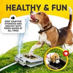 Нажимной фонтан для собак цена и информация | Миски, ящики для корма | pigu.lt
