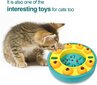 Interaktyvus augintiniams žaislas Food Roulette kaina ir informacija | Žaislai katėms | pigu.lt