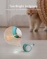 Interaktyvus žaislas katėms Mouse kaina ir informacija | Žaislai katėms | pigu.lt