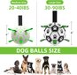Interaktyvus kamuolys šunims Luminous kaina ir informacija | Žaislai šunims | pigu.lt