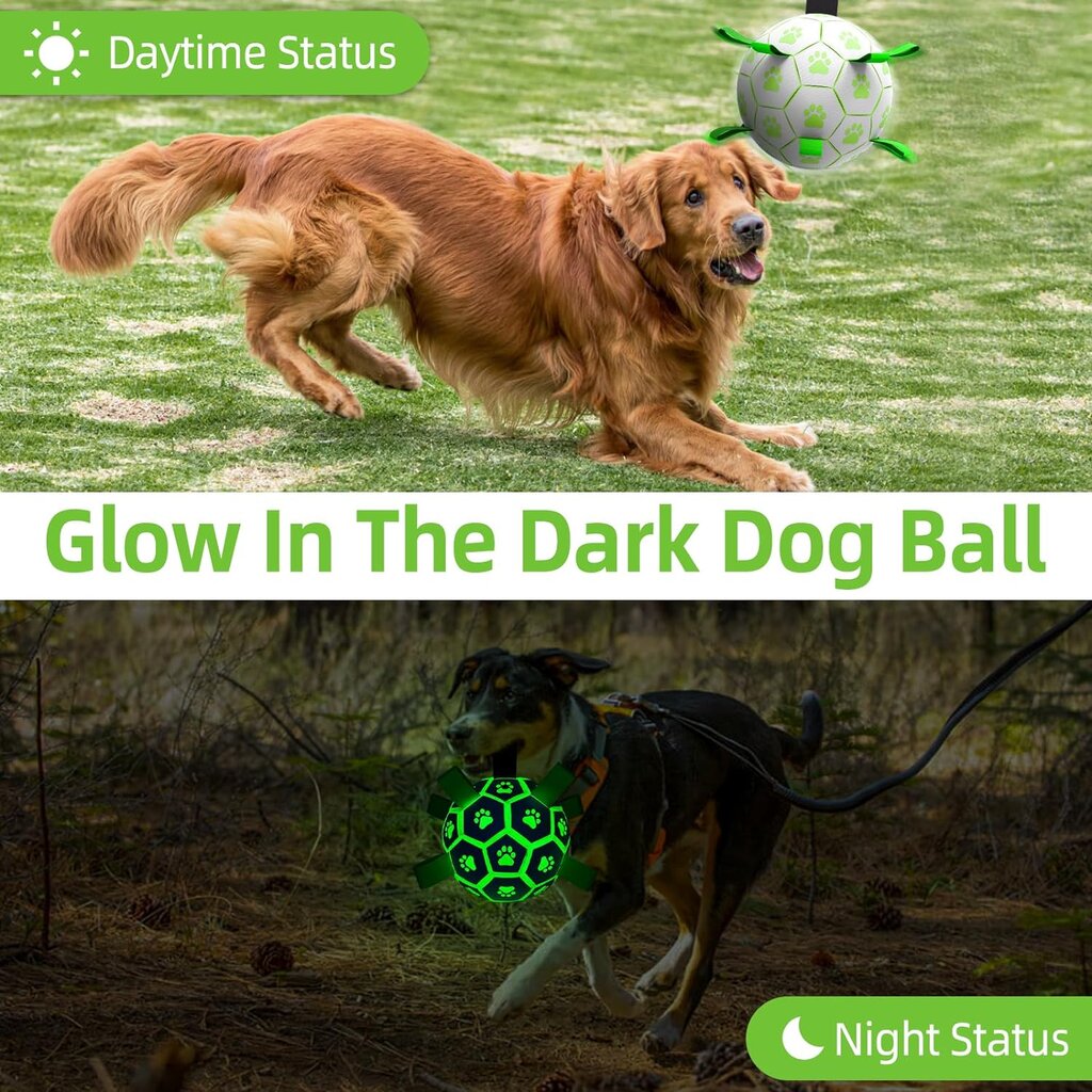 Interaktyvus kamuolys šunims Luminous kaina ir informacija | Žaislai šunims | pigu.lt