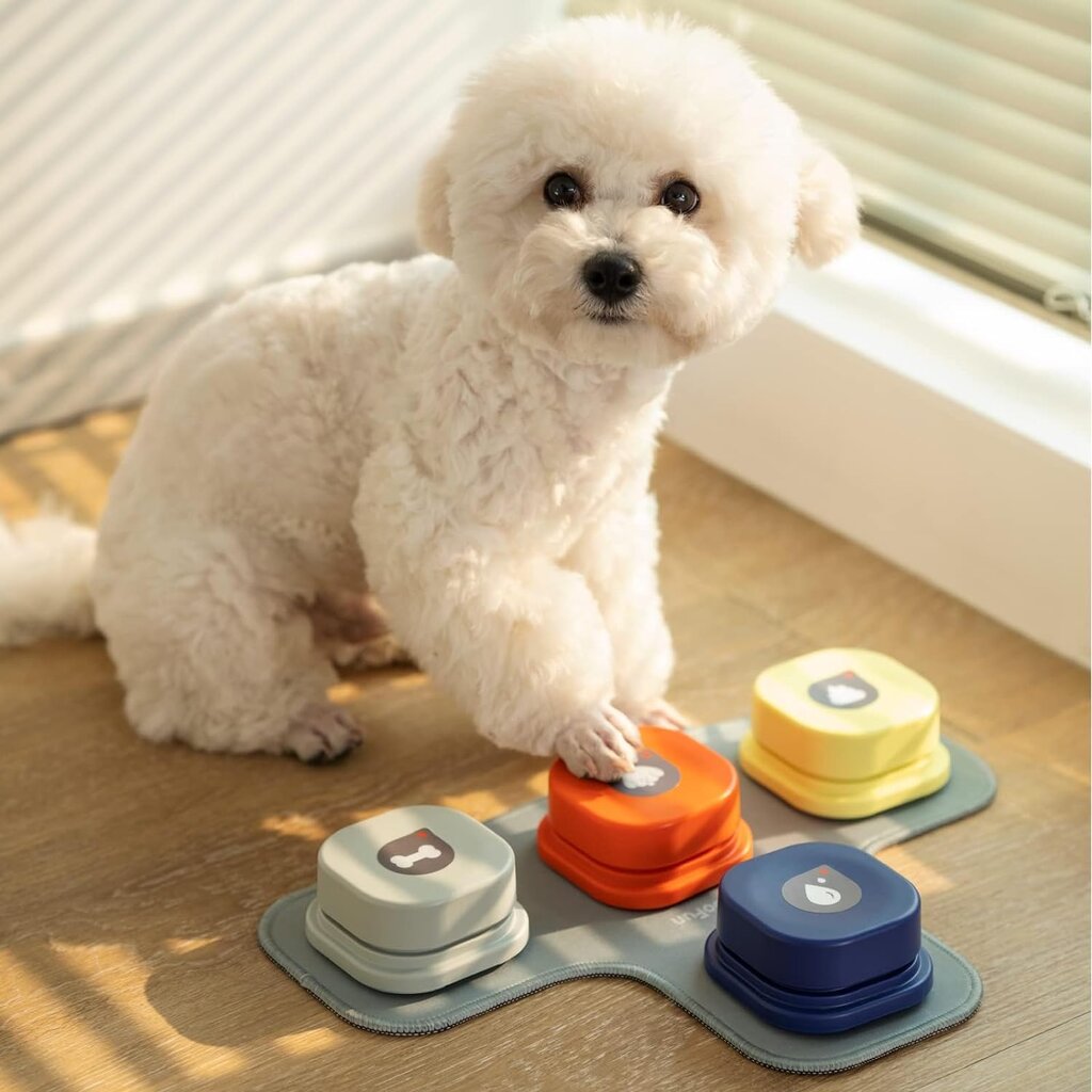 Interaktyvus kilimėlis su mygtukais šunims dresuoti, 4 vnt. kaina ir informacija | Žaislai šunims | pigu.lt