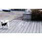 Automatinis pavadėlis šuniui StoreXO, 8m, 50kg, oranžinis цена и информация | Pavadėliai šunims | pigu.lt