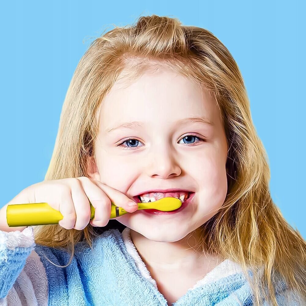 StoreXO EB1 kaina ir informacija | Elektriniai dantų šepetėliai | pigu.lt