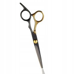 Парикмахерские ножницы цена и информация | Расчески, щетки для волос, ножницы | pigu.lt