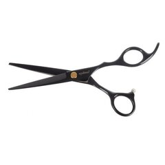 Парикмахерские ножницы цена и информация | Расчески, щетки для волос, ножницы | pigu.lt