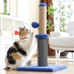 Draskyklė katėms StoreXO, mėlyna kaina ir informacija | Draskyklės | pigu.lt