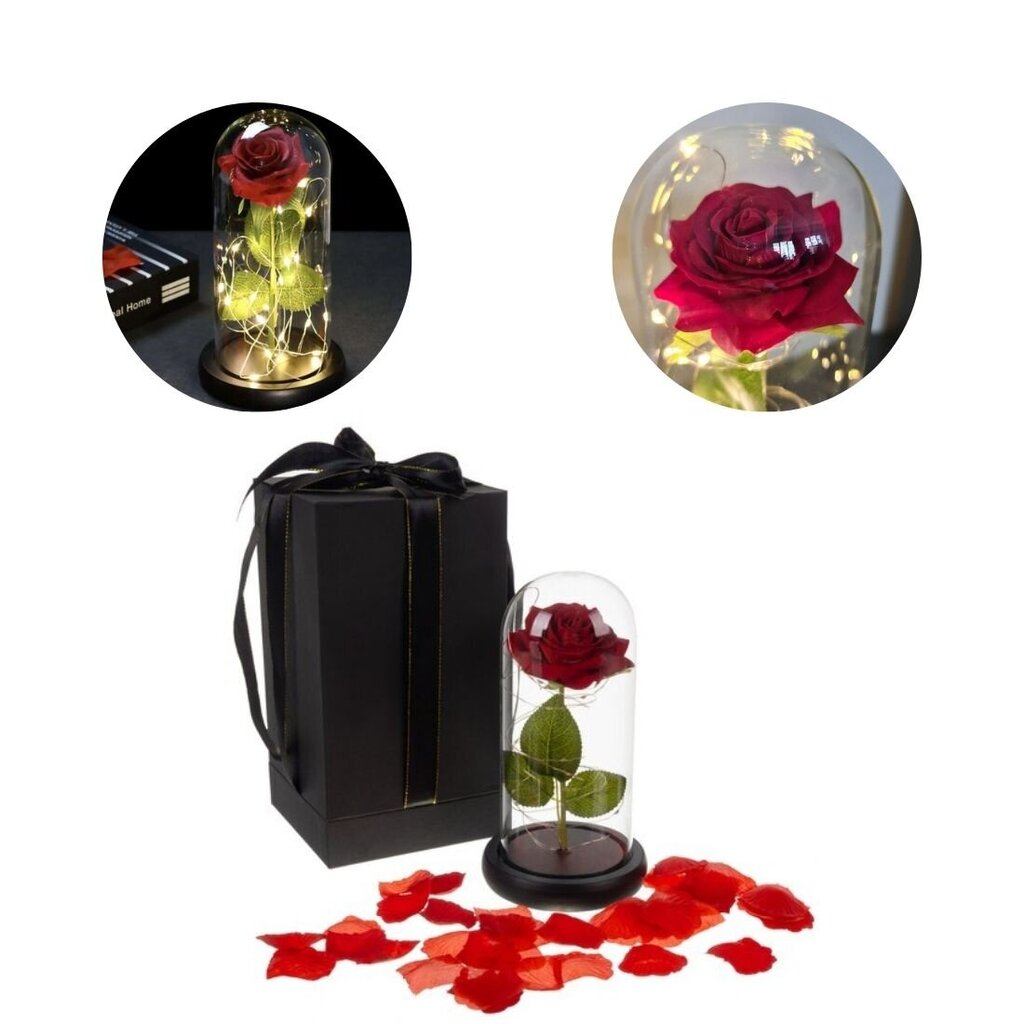 Stabilizuota rožė su LED kaina ir informacija | Miegančios rožės, stabilizuoti augalai | pigu.lt