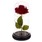 Stabilizuota rožė su LED цена и информация | Miegančios rožės, stabilizuoti augalai | pigu.lt