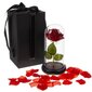 Stabilizuota rožė su LED kaina ir informacija | Miegančios rožės, stabilizuoti augalai | pigu.lt