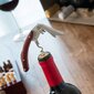 StoreXO šachmatų/vyno aksesuarų rinkinys kaina ir informacija | Virtuvės įrankiai | pigu.lt