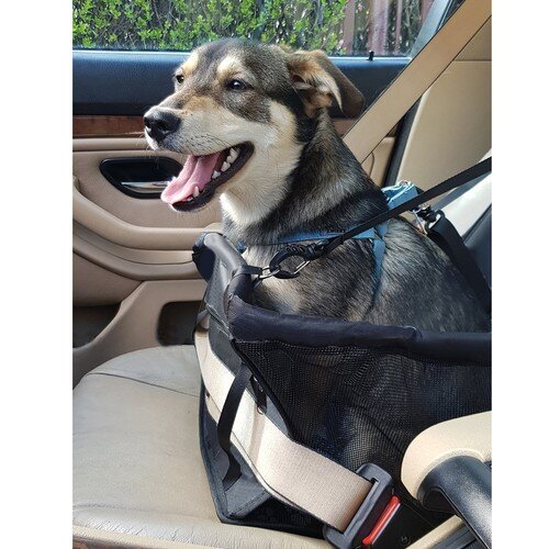 Šuns sėdynė automobilyje StoreXO kaina ir informacija | Kelioniniai reikmenys | pigu.lt