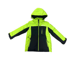 Куртка для мальчиков Sd, разных цветов цена и информация | Куртки для мальчиков | pigu.lt