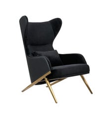Fotelis Intromit Hampton, juodas цена и информация | Кресла в гостиную | pigu.lt