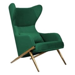 Svetainės fotelis Intromit Hampton, žalias цена и информация | Кресла в гостиную | pigu.lt
