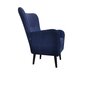 Fotelis Intromit, mėlynas цена и информация | Svetainės foteliai | pigu.lt