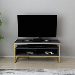 TV stovas Asir, 110x35x49,9 cm, auksinis/pilkas kaina ir informacija | TV staliukai | pigu.lt