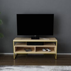 TV stovas Asir, 110x35x49,9 cm, auksinis/smėlio spalvos kaina ir informacija | TV staliukai | pigu.lt