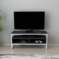 TV stovas Asir, 110x35x49,9 cm, baltas/pilkas kaina ir informacija | TV staliukai | pigu.lt