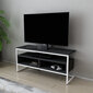 TV stovas Asir, 110x35x49,9 cm, baltas/pilkas kaina ir informacija | TV staliukai | pigu.lt