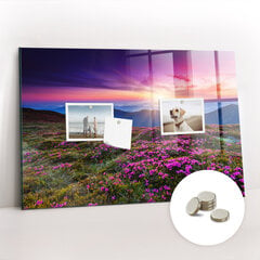 Magnetinė lenta Saulėtekio Gėlės, 60x40 cm kaina ir informacija | Kanceliarinės prekės | pigu.lt