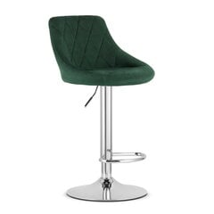 Комплект из 2 стульев, зеленый цена и информация | Стулья для кухни и столовой | pigu.lt