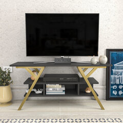 TV stovas Asir, 120x35x55 cm, auksinis/pilkas kaina ir informacija | TV staliukai | pigu.lt