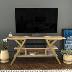 TV stovas Asir, 120x35x55 cm, auksinis/smėlio spalvos kaina ir informacija | TV staliukai | pigu.lt