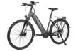 Elektrinis dviratis Fafrees FM9 29", pilkas kaina ir informacija | Elektriniai dviračiai | pigu.lt