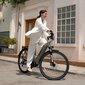 Elektrinis dviratis Fafrees FM9 29", pilkas kaina ir informacija | Elektriniai dviračiai | pigu.lt