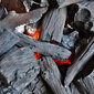 Ąžuolo medžio anglys Carbones La Dehesa, 15 kg kaina ir informacija | Medžio anglis, briketai, uždegimo priemonės | pigu.lt