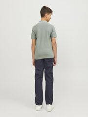 Детская футболка- поло Jack & Jones, светло-зелёный цена и информация | Рубашка для мальчиков | pigu.lt
