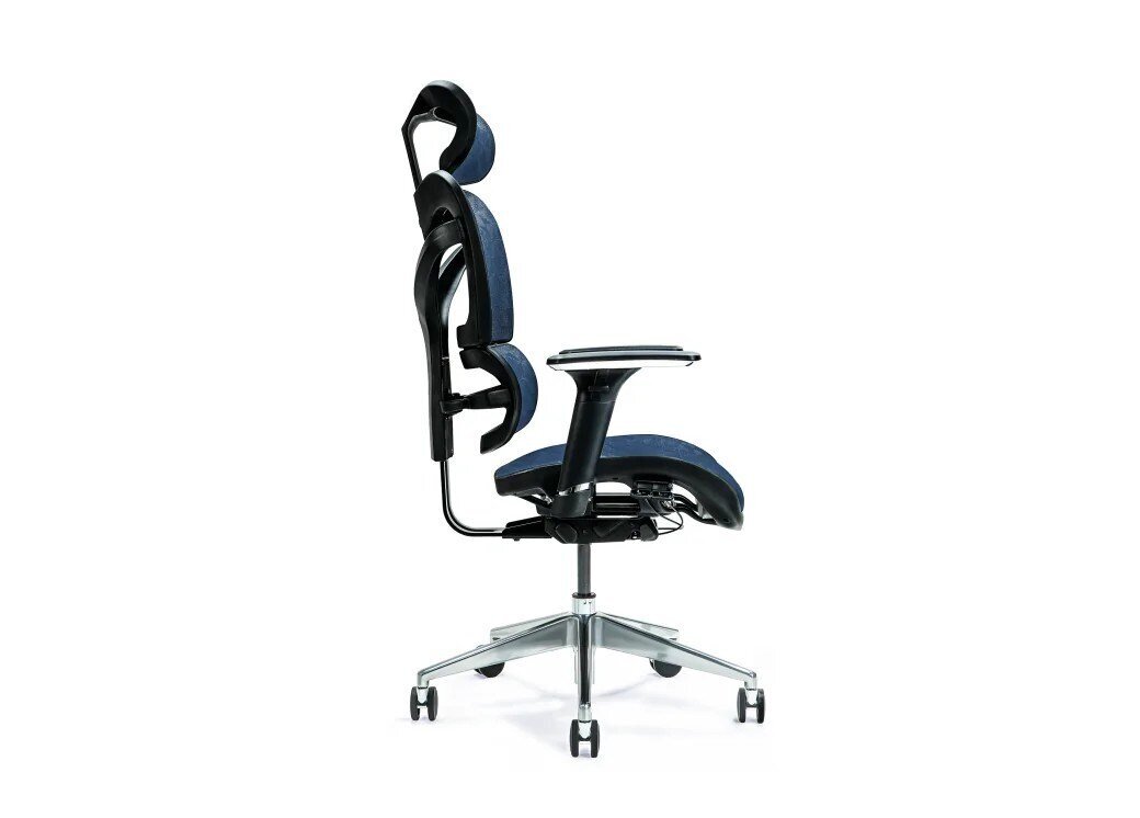 Kėdė Bemondi Ergo 600, mėlyna kaina ir informacija | Biuro kėdės | pigu.lt