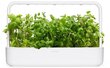 Obuolių mėtos sėklų kapsulės Click & Grow Smart Garden, 3 vnt. kaina ir informacija | Daigyklos, lempos augalams | pigu.lt