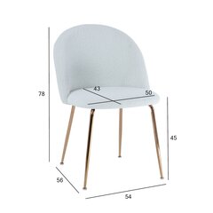 Комплет из 4 стульев Beetle, белый цена и информация | Стулья для кухни и столовой | pigu.lt